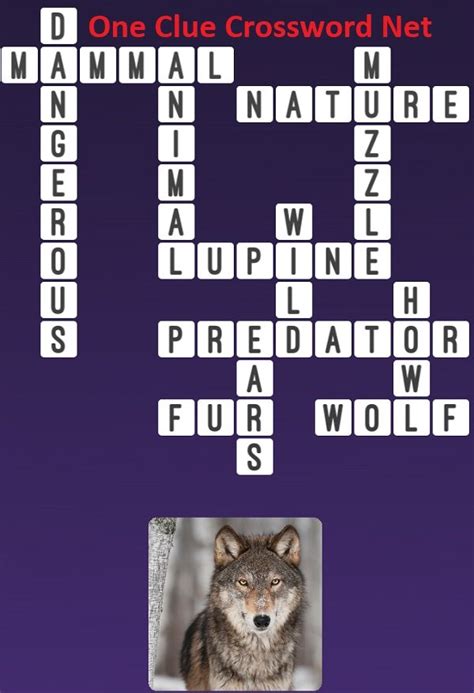 timber wolf crossword|type of wolf crossword clue.